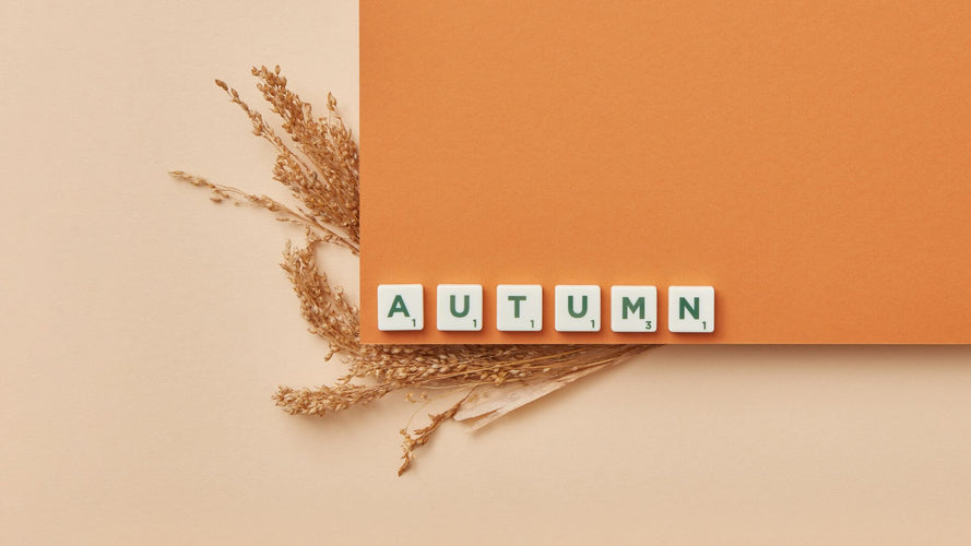 Fall into Self-Care: Cozy Rituals for Embracing the Autumn Season