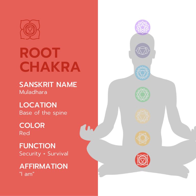 An infographic with the title "Root Chakra Cheat Sheet" with information about the root chakra, including its Sanskrit name, location, color, function, affirmation, and balanced and imbalanced expressions. The infographic is illustrated with a red background
