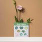 a heart chakra watercolor crystal sticker set with a flower in a vase on a shelf